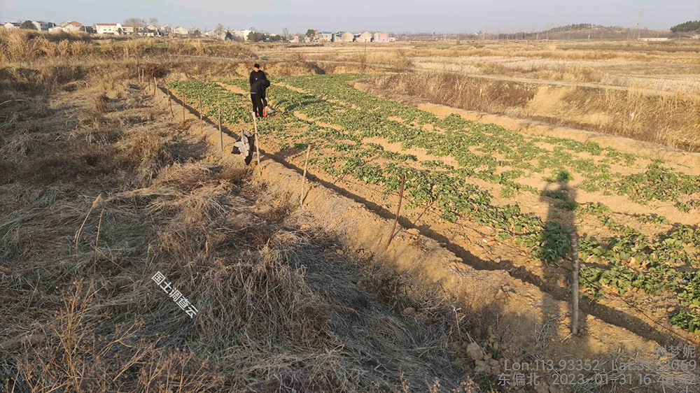 土壤调(普)查、生物多样性调查